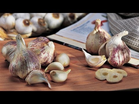 VIDEO: How to Plant Garlic