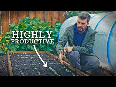 VIDEO: 14 Crops I Sow EVERY September