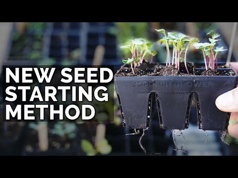 VIDEO: My NEW Favorite Seed Starting Method 🌱🌱🌱