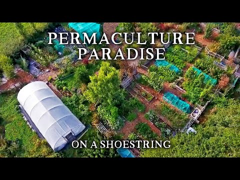 VIDEO: Inspirational Small-Scale Permaculture Homestead | Low Cost Self-Sufficiency on Less Than an Acre