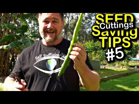 VIDEO: Seed Saving Tips Episode 5 – Cuttings & Grafting Fruit Trees or Plants